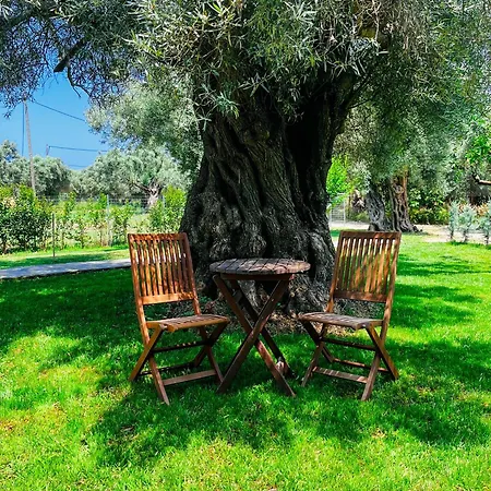 Elleria's House * Frínion