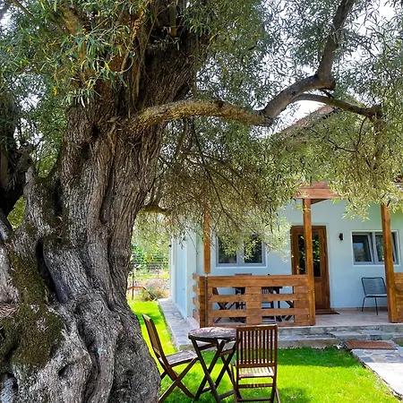 Elleria's House Apartment Frínion