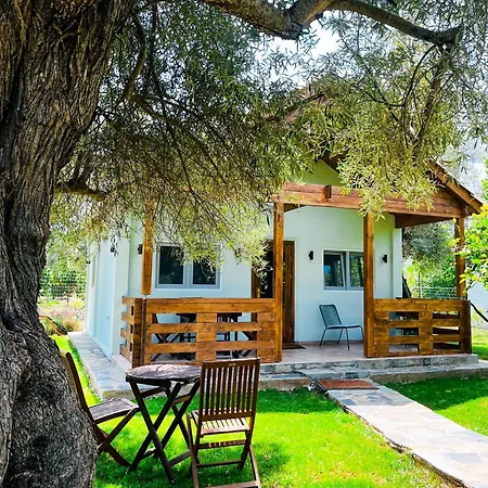 Appartamento Elleria's House *